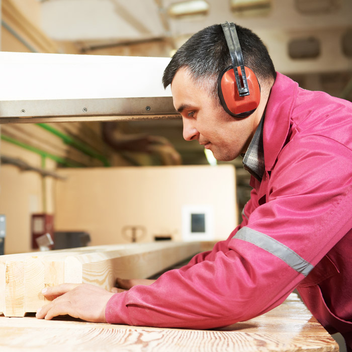 PPE Ear Muffs